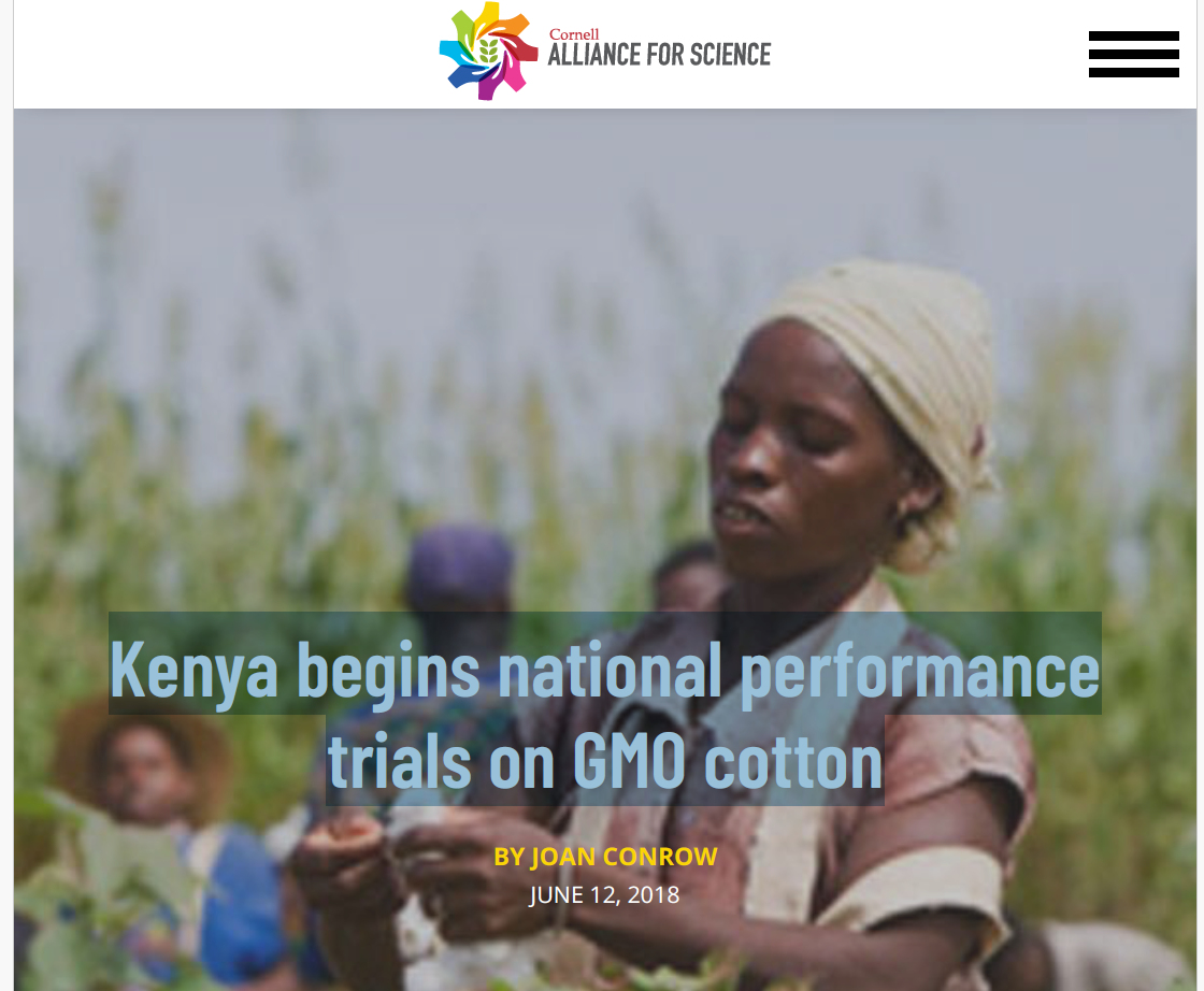 Kenya begins national performance trials on GMO cotton
